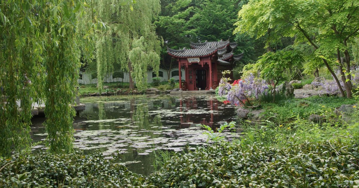 Workshop Natuurlijk Verbeelden zondagmiddag op aanvraag